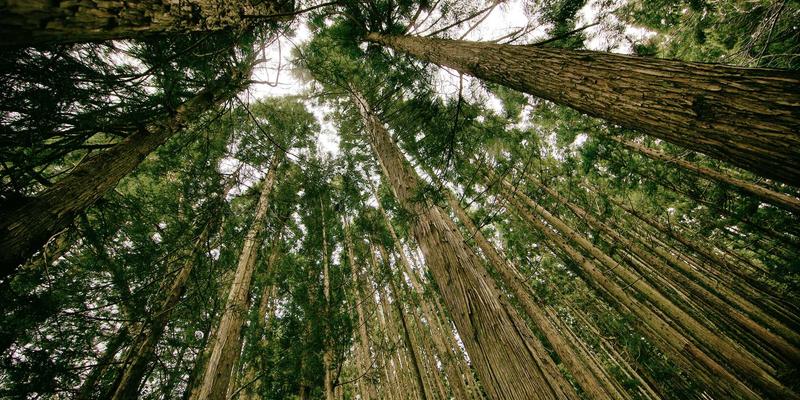 5G vs Wi-Fi 6终极解析:下一代无线网络如何重塑你的数字生活