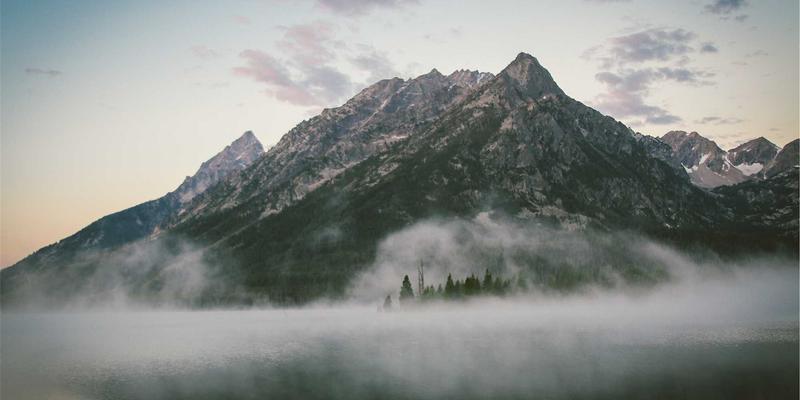 无线Mesh组网全解析：三步构建无缝漫游的家庭/企业网络