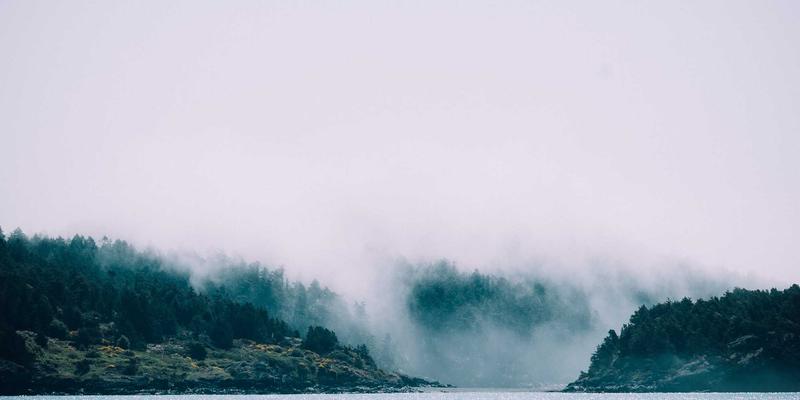 深度包检测（DPI）技术原理与应用：超越传统防火墙的智能流量分析与控制