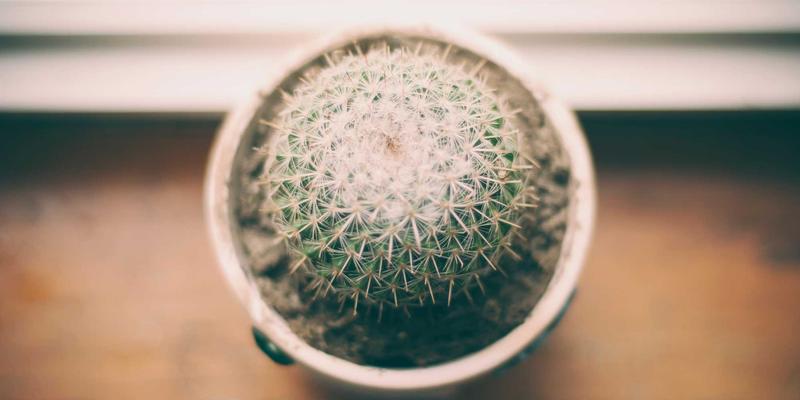 网络性能瓶颈诊断与优化全攻略：从带宽、延迟、丢包到应用层的深度解析